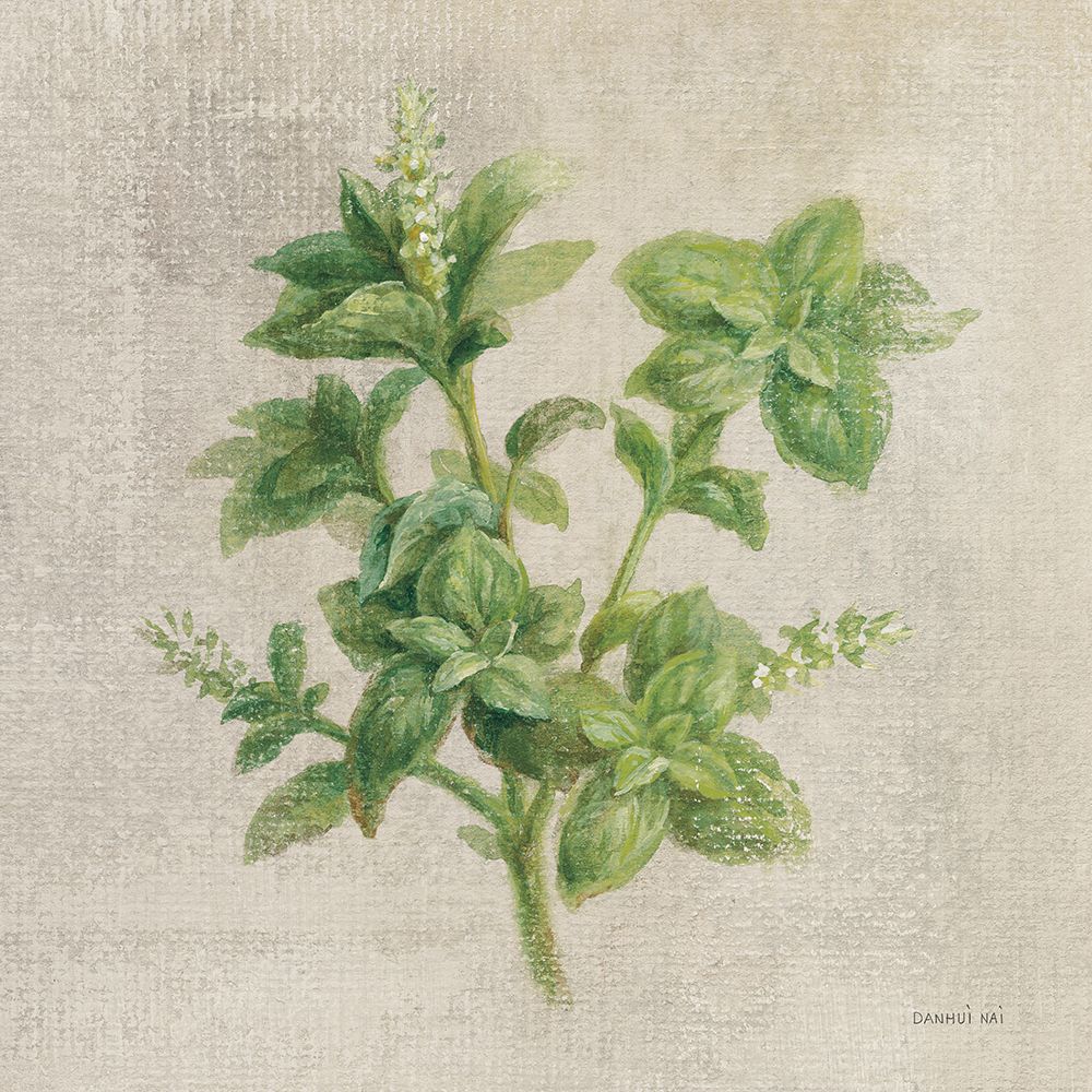 Basil art print by Danhui Nai for $57.95 CAD