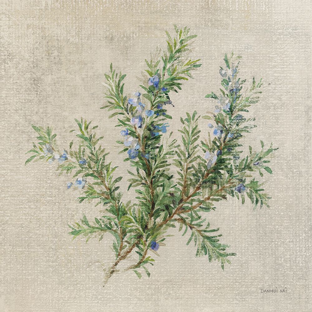 Rosemary art print by Danhui Nai for $57.95 CAD