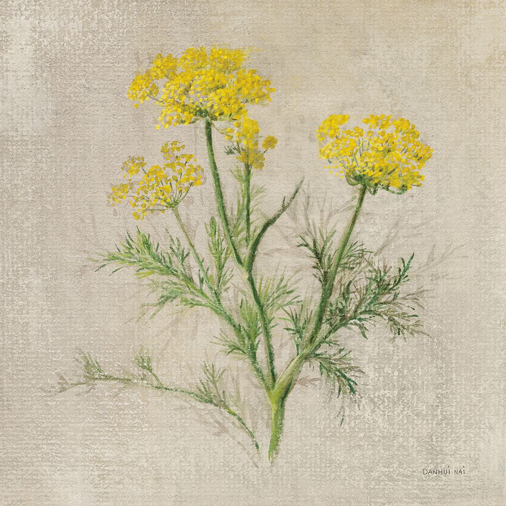 Dill art print by Danhui Nai for $57.95 CAD