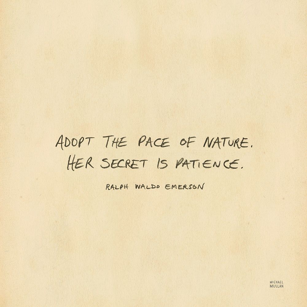 Outdoor Adventure VII art print by Michael Mullan for $57.95 CAD