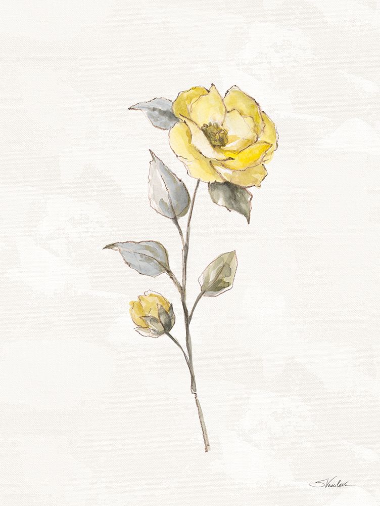 Sunny Roses Flower I art print by Silvia Vassileva for $57.95 CAD