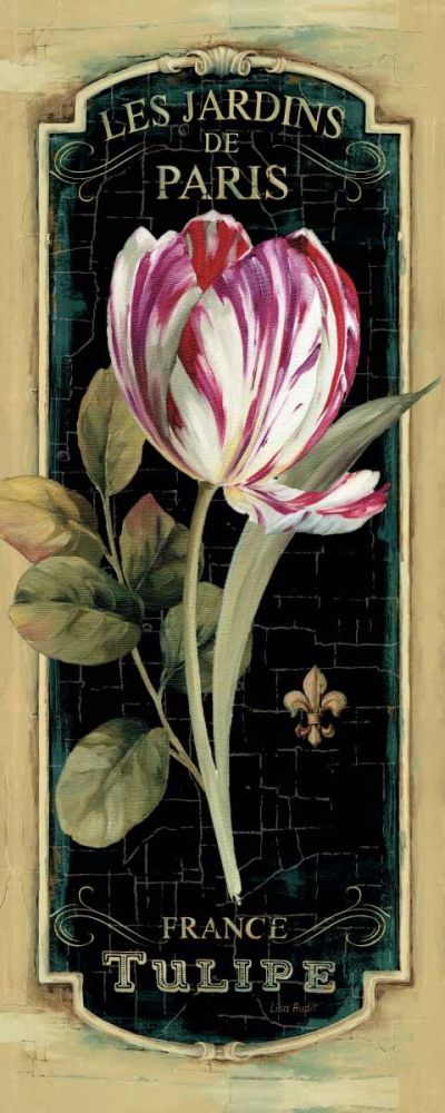 Garden View IV Black art print by Lisa Audit for $57.95 CAD