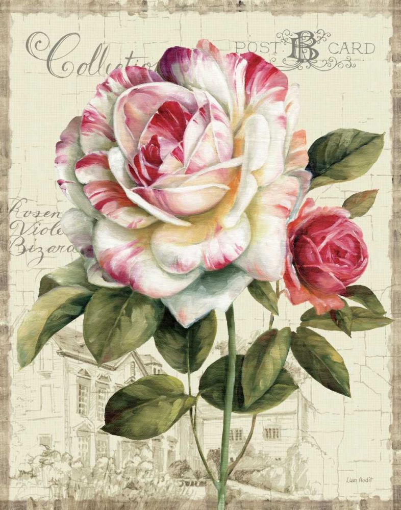 Garden View III - Rose art print by Lisa Audit for $57.95 CAD