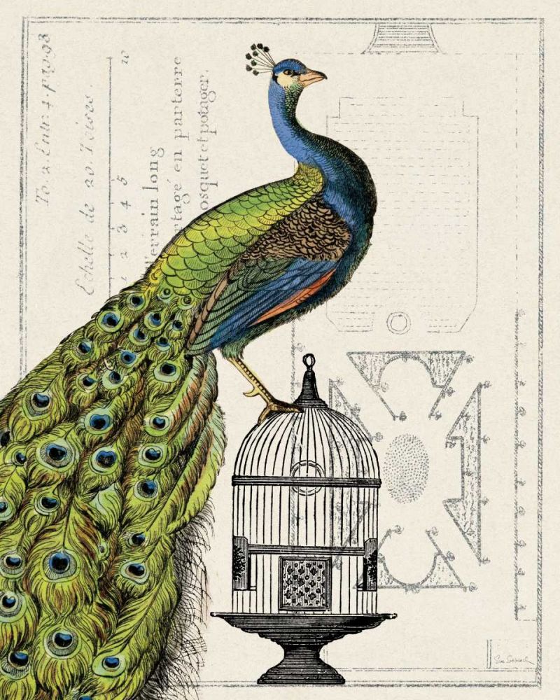 Peacock Birdcage I art print by Sue Schlabach for $57.95 CAD