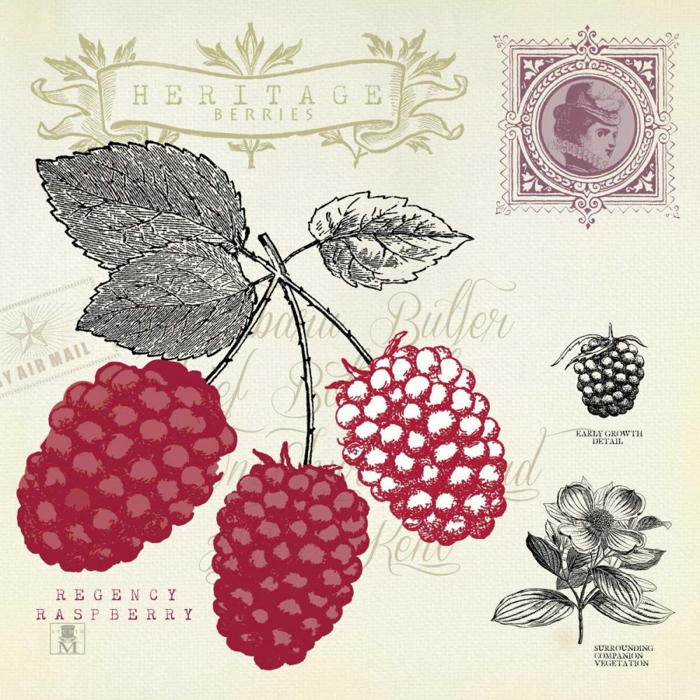 Raspberry Notes art print by Studio Mousseau for $57.95 CAD