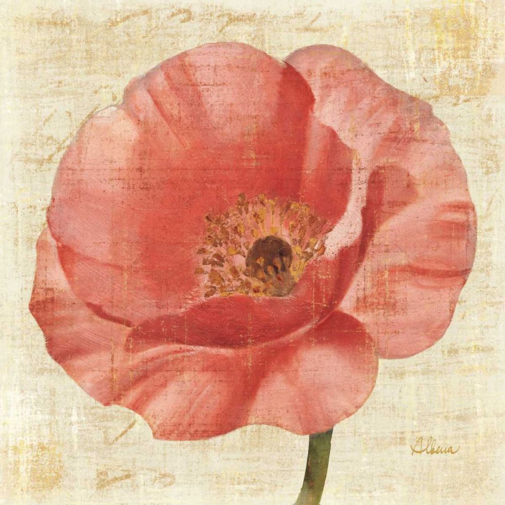 Blushing Poppy art print by Albena Hristova for $57.95 CAD