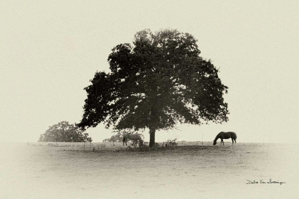 Horses and Trees I art print by Debra Van Swearingen for $57.95 CAD