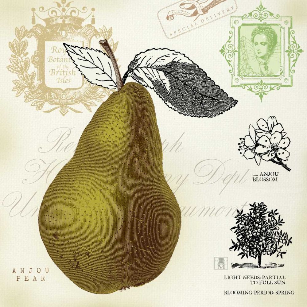 Pear Notes art print by Studio Mousseau for $57.95 CAD