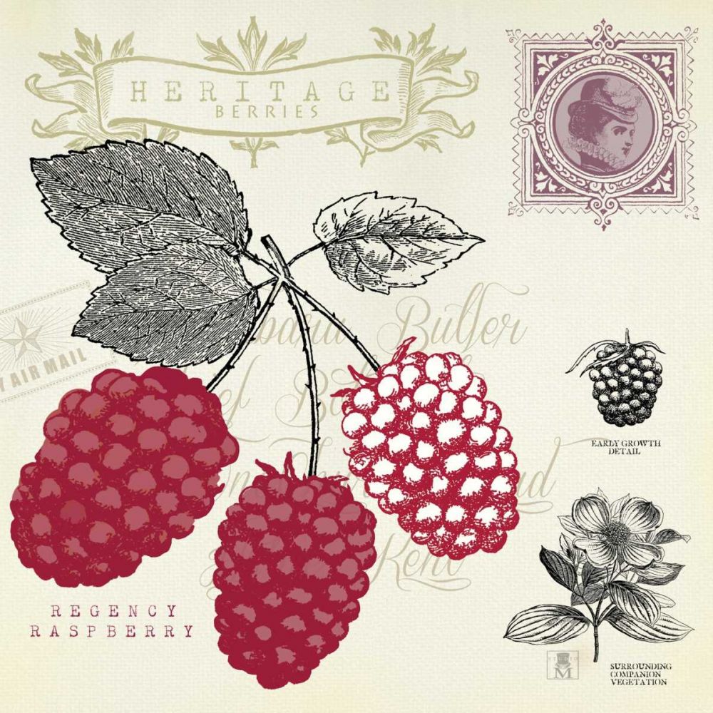 Raspberry Notes art print by Studio Mousseau for $57.95 CAD