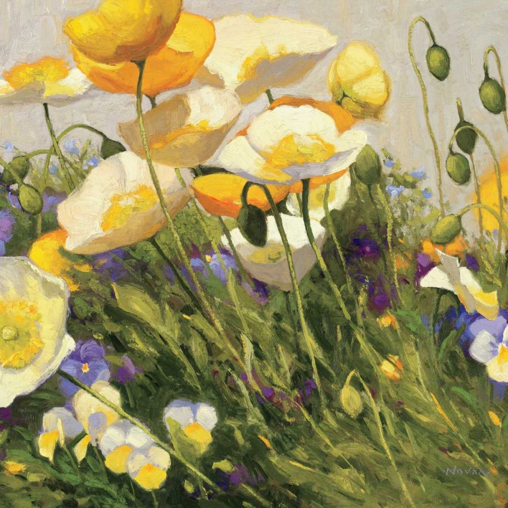Poppies and Pansies I art print by Shirley Novak for $57.95 CAD