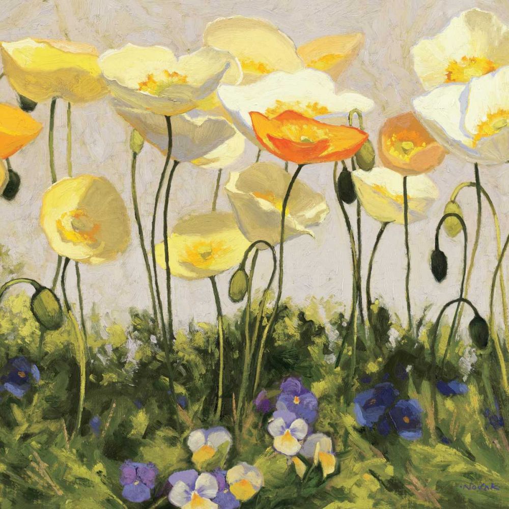 Poppies and Pansies II art print by Shirley Novak for $57.95 CAD