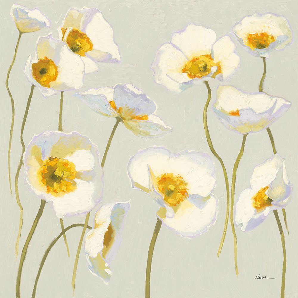 White on White Poppies art print by Shirley Novak for $57.95 CAD