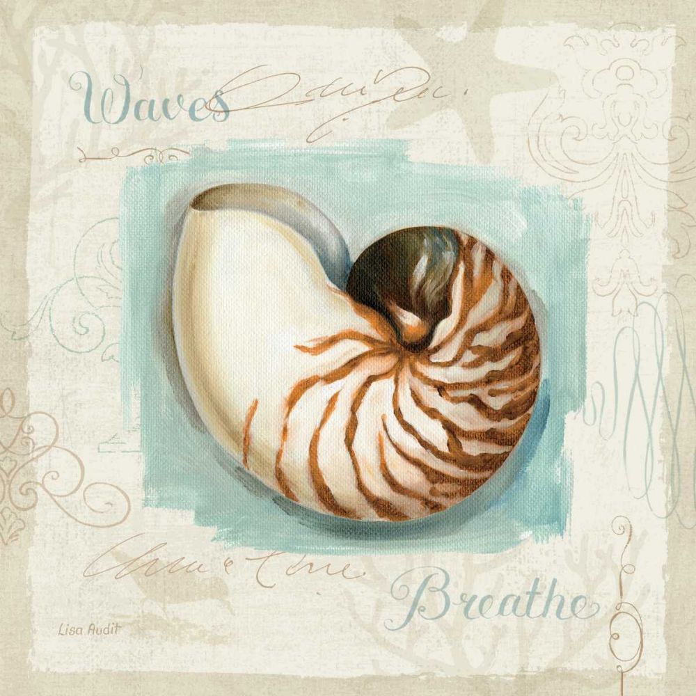 Coastal Jewels II art print by Lisa Audit for $57.95 CAD