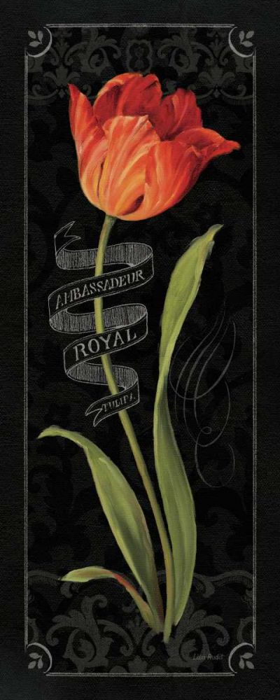 Tulipa Botanica II art print by Lisa Audit for $57.95 CAD