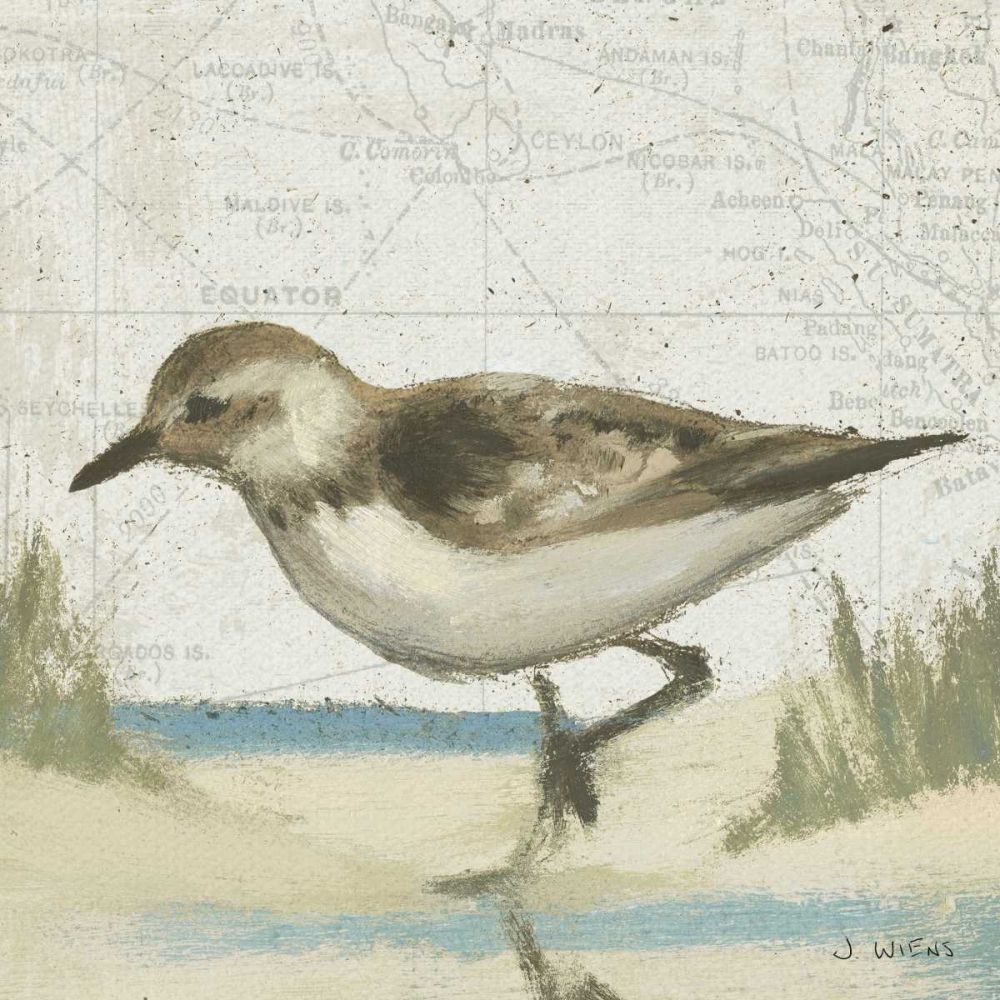 Beach Bird IV art print by James Wiens for $57.95 CAD