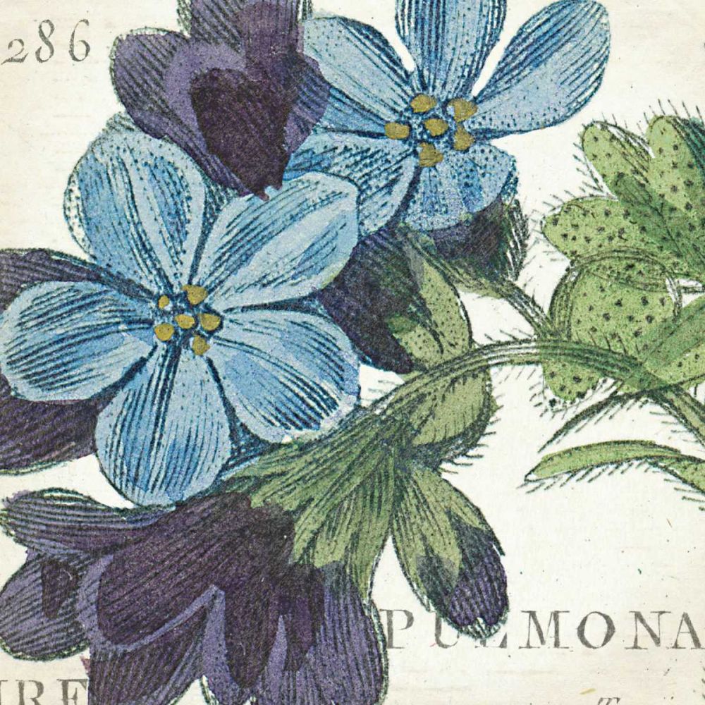 Blue Floral art print by Wild Apple Portfolio for $57.95 CAD
