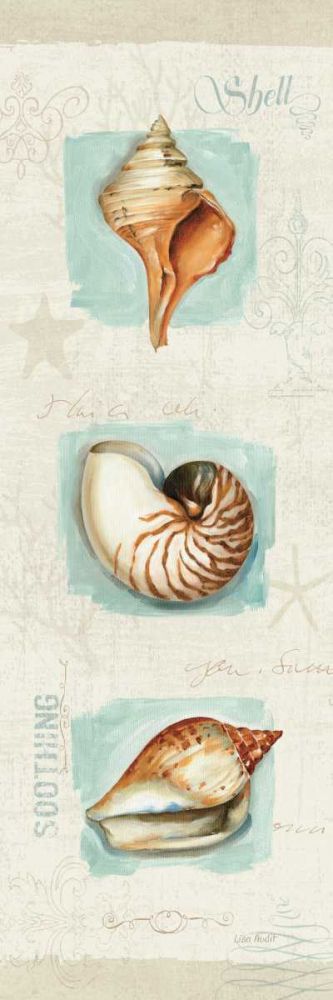 Coastal Jewels Panel II art print by Lisa Audit for $57.95 CAD