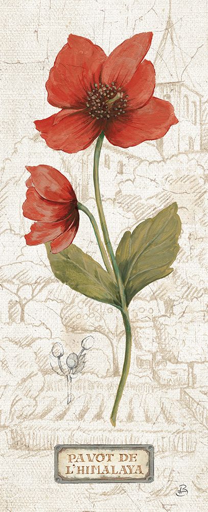 Royal Garden V art print by Daphne Brissonnet for $57.95 CAD