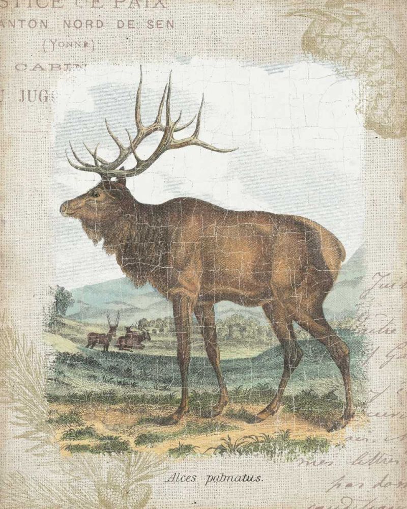 Woodland Stag II art print by Wild Apple Portfolio for $57.95 CAD