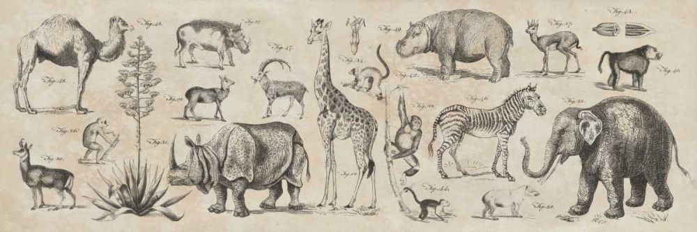 Wild Africa art print by Wild Apple Portfolio for $57.95 CAD