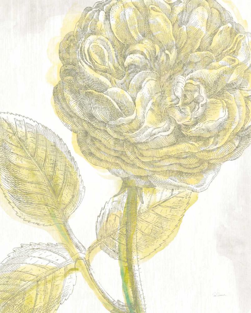 Belle Fleur Yellow III Crop art print by Sue Schlabach for $57.95 CAD