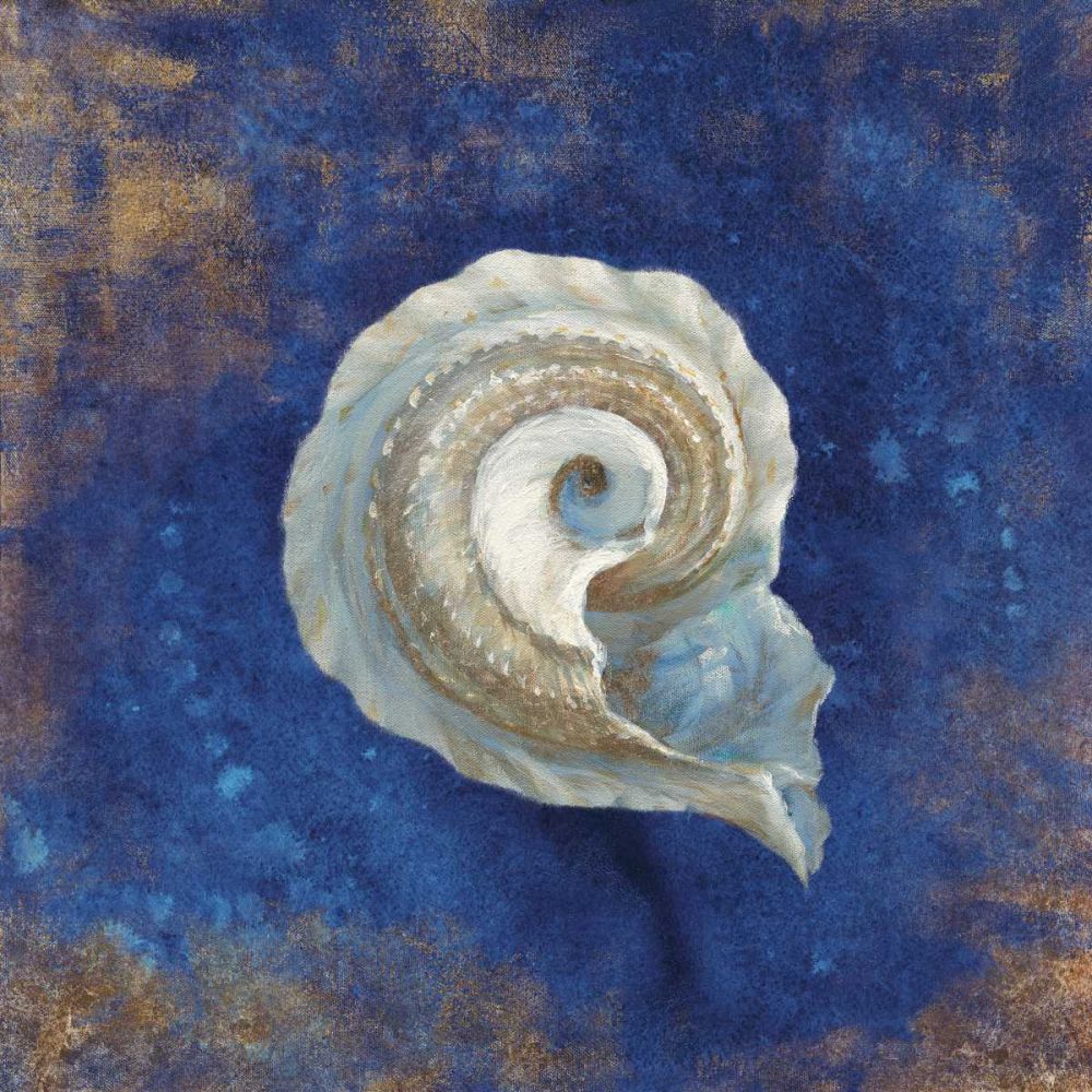 Treasures of the Sea Indigo III art print by Danhui Nai for $57.95 CAD