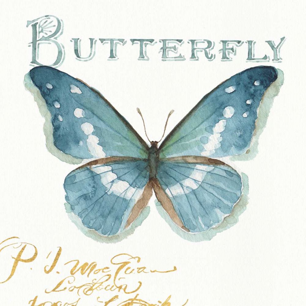 My Greenhouse Butterflies II art print by Lisa Audit for $57.95 CAD