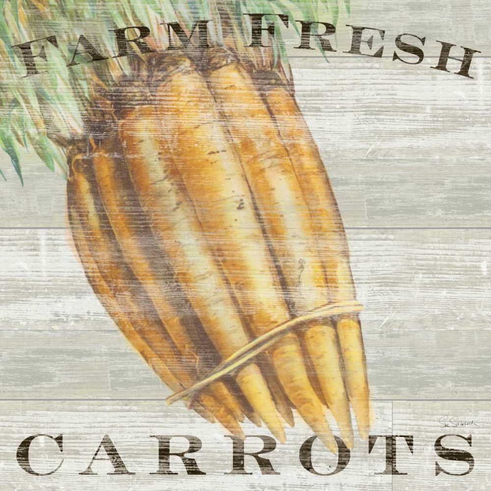 Farm Fresh Carrots art print by Sue Schlabach for $57.95 CAD