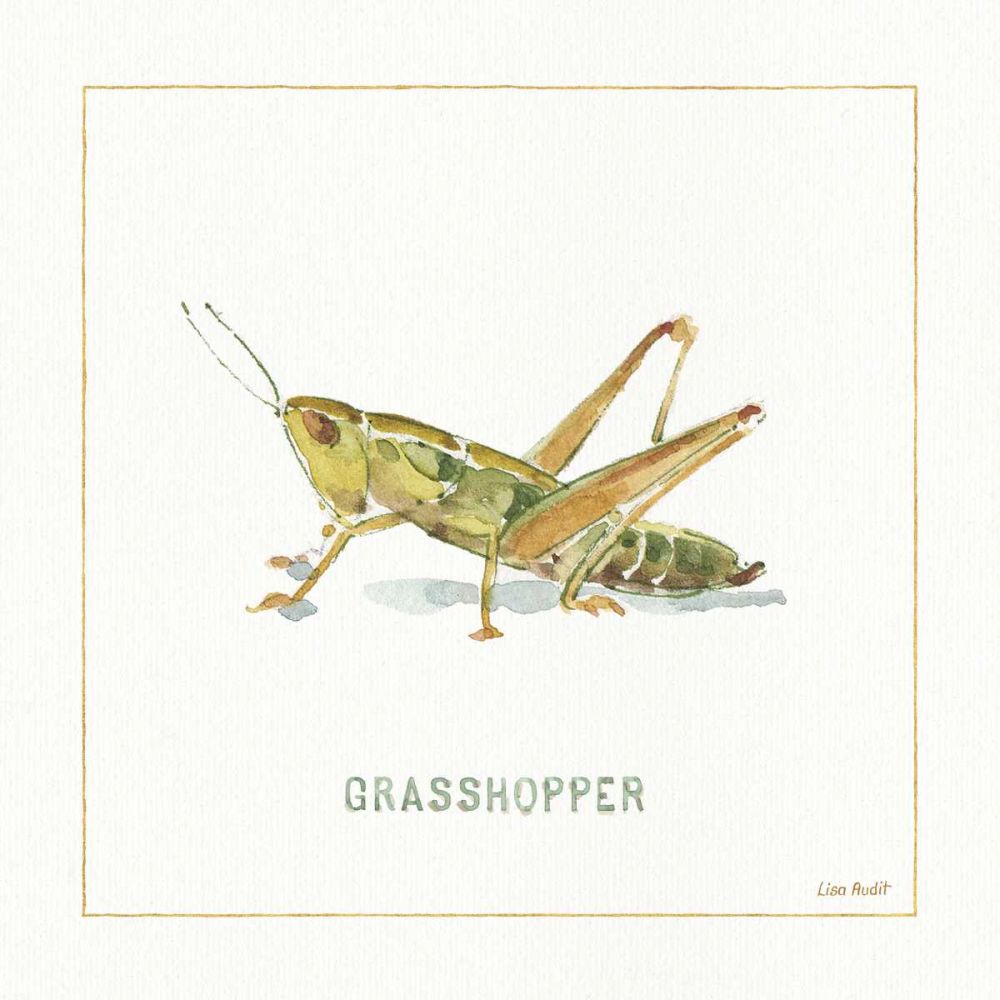 My Greenhouse Grasshopper art print by Lisa Audit for $57.95 CAD