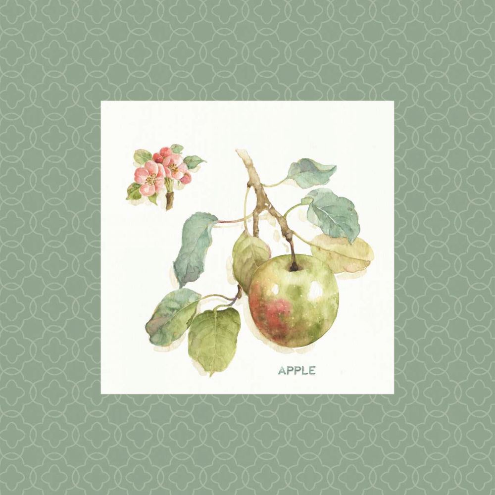 Orchard Bloom I Border art print by Lisa Audit for $57.95 CAD