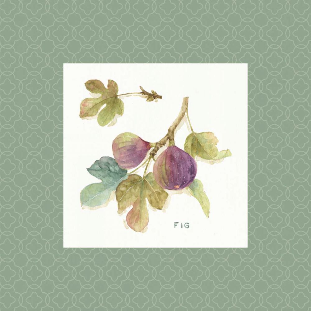 Orchard Bloom III Border art print by Lisa Audit for $57.95 CAD