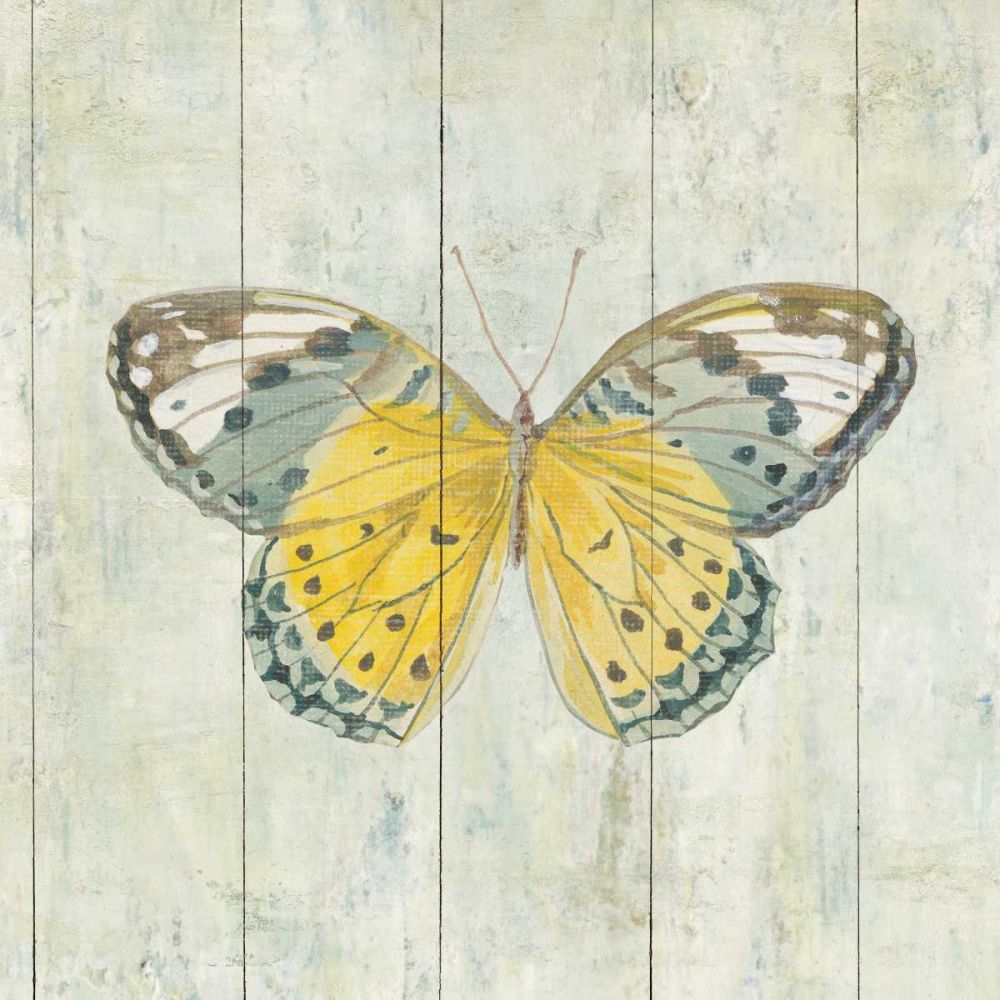 Natural Flora IX art print by Danhui Nai for $57.95 CAD