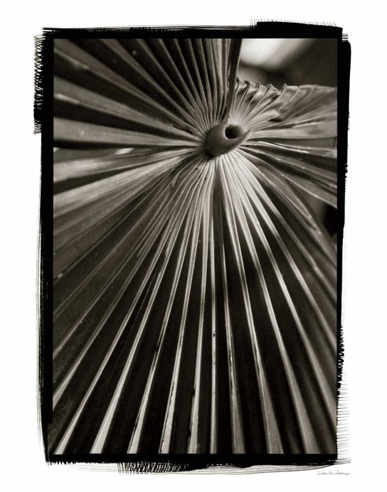 Palm Frond I art print by Debra Van Swearingen for $57.95 CAD