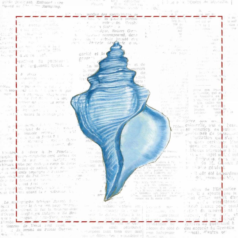 Navy Conch Shell on Newsprint with Red art print by Emily Adams for $57.95 CAD