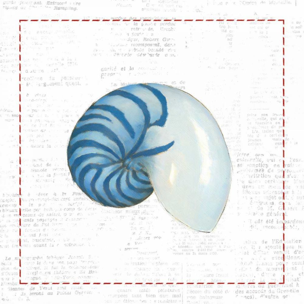 Navy Nautilus Shell on Newsprint with Red art print by Emily Adams for $57.95 CAD
