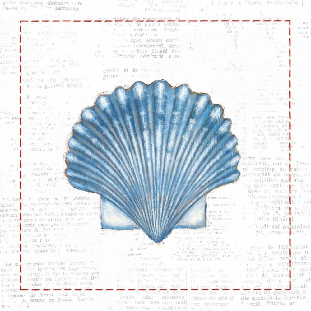 Navy Scallop Shell on Newsprint with Red art print by Emily Adams for $57.95 CAD