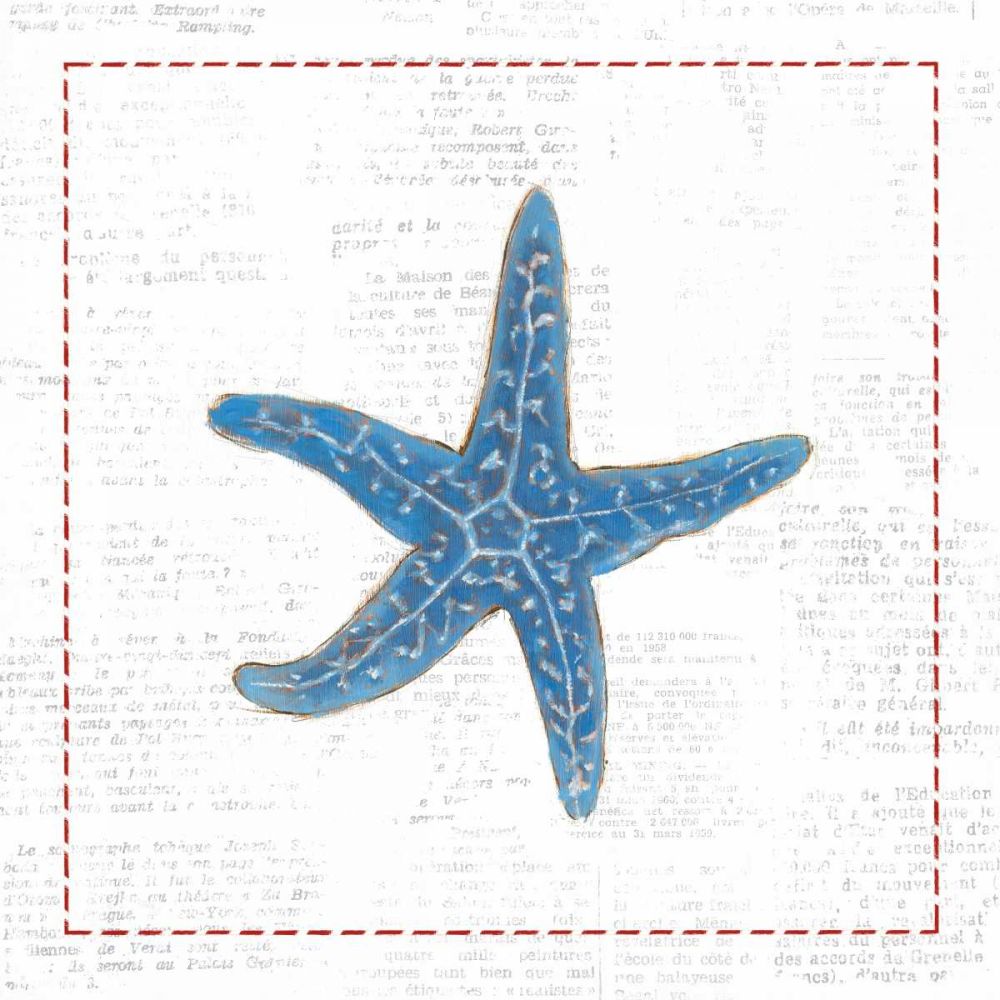 Navy Starfish on Newsprint with Red art print by Emily Adams for $57.95 CAD