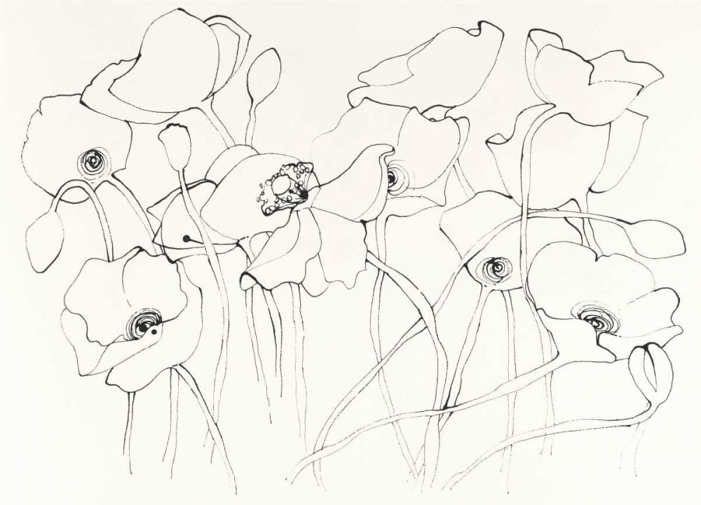 Black Line Poppies III art print by Shirley Novak for $57.95 CAD