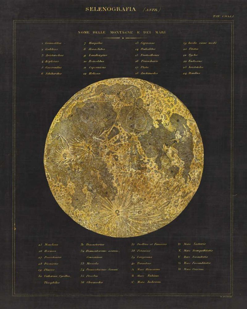 Astronomical Chart I art print by Wild Apple Portfolio for $57.95 CAD
