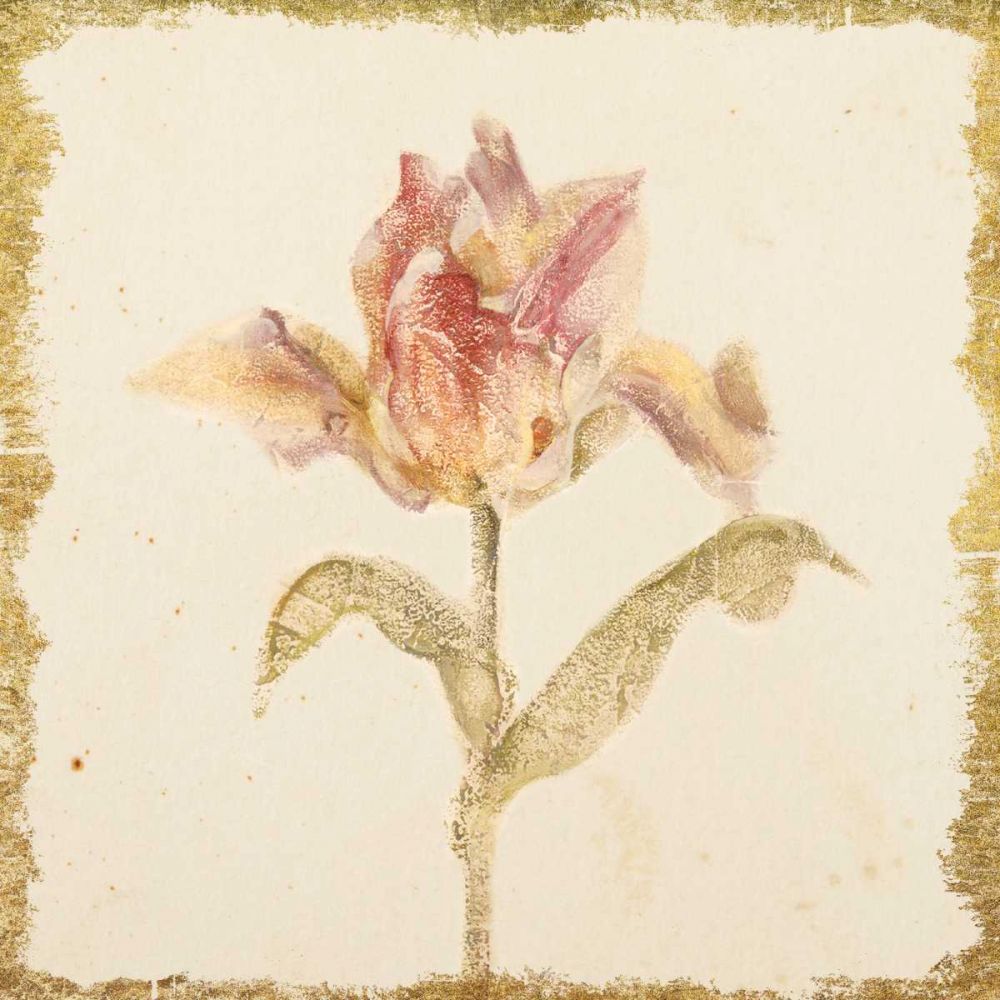 Vintage Zoomer Schoon Tulip Crop art print by Cheri Blum for $57.95 CAD