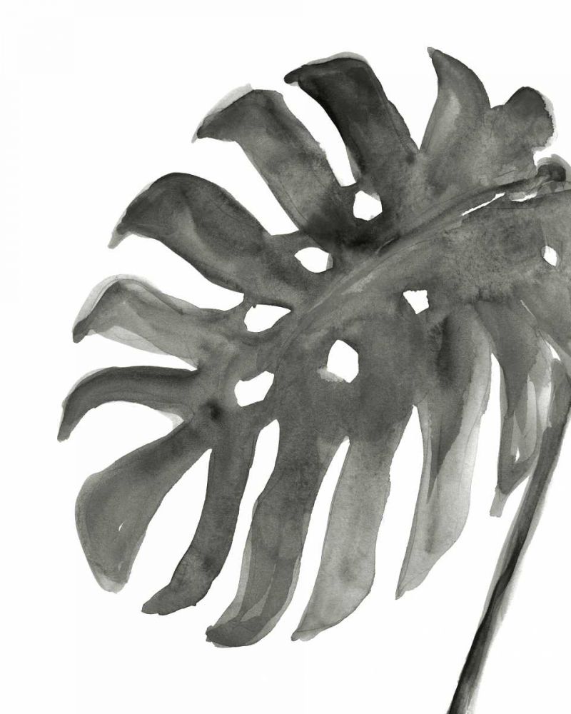 Tropical Palm IV BW art print by Chris Paschke for $57.95 CAD