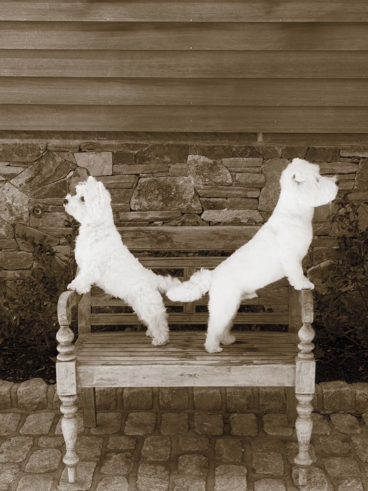 We are Ready art print by Jim Dratfield for $57.95 CAD