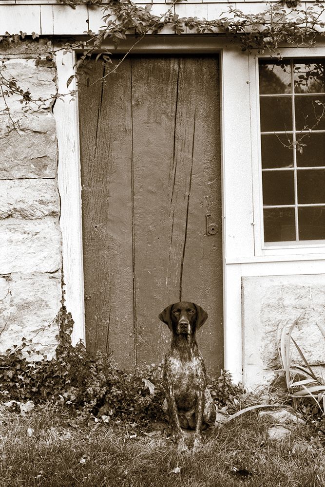 I am Home art print by Jim Dratfield for $57.95 CAD