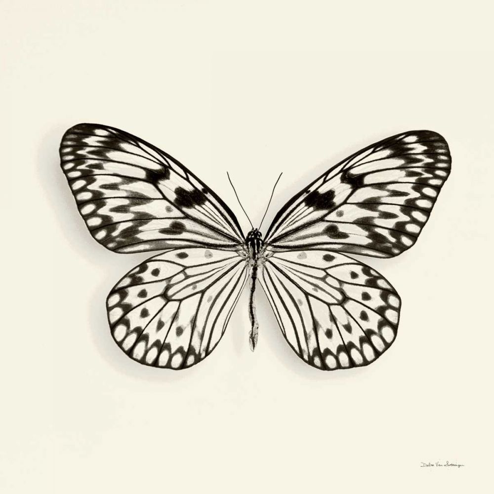 Butterfly V BW Crop art print by Debra Van Swearingen for $57.95 CAD