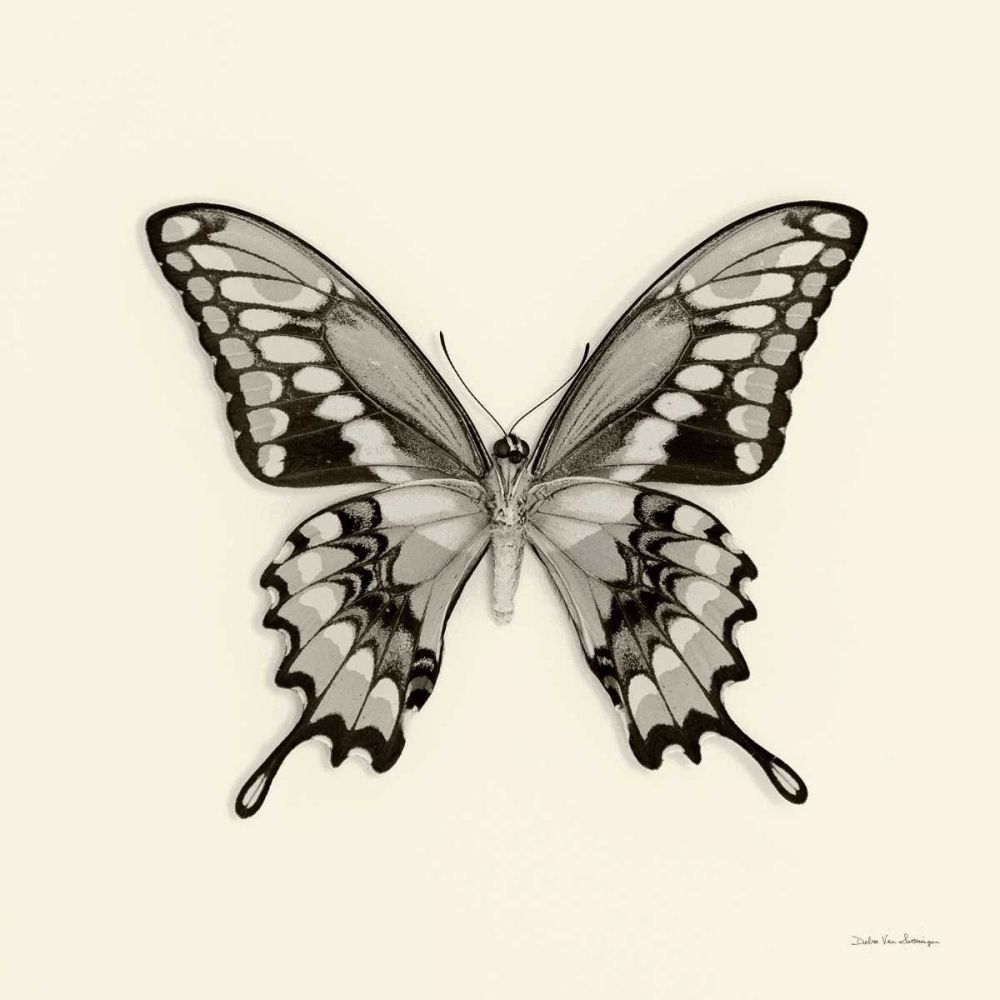 Butterfly VI BW Crop art print by Debra Van Swearingen for $57.95 CAD