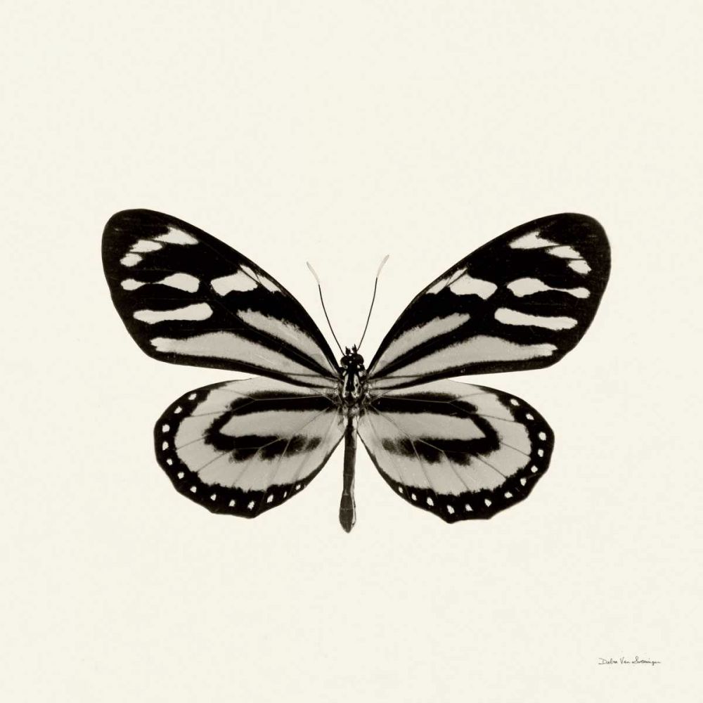 Butterfly VIII BW Crop art print by Debra Van Swearingen for $57.95 CAD