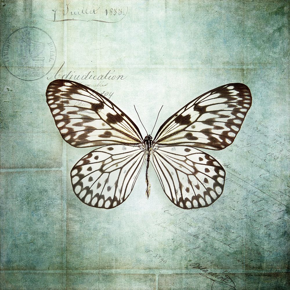 French Butterfly V art print by Debra Van Swearingen for $57.95 CAD
