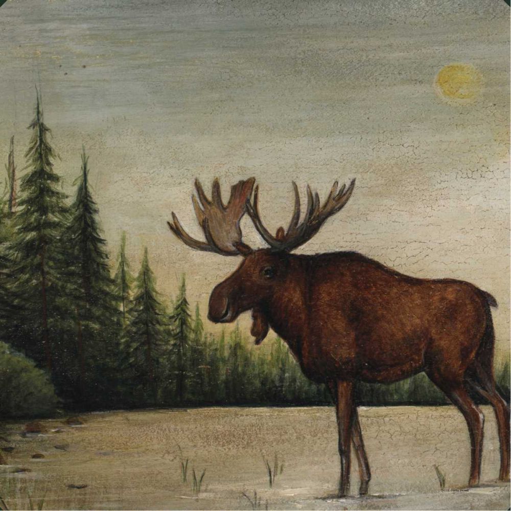 North Woods Moose II art print by David Carter Brown for $57.95 CAD