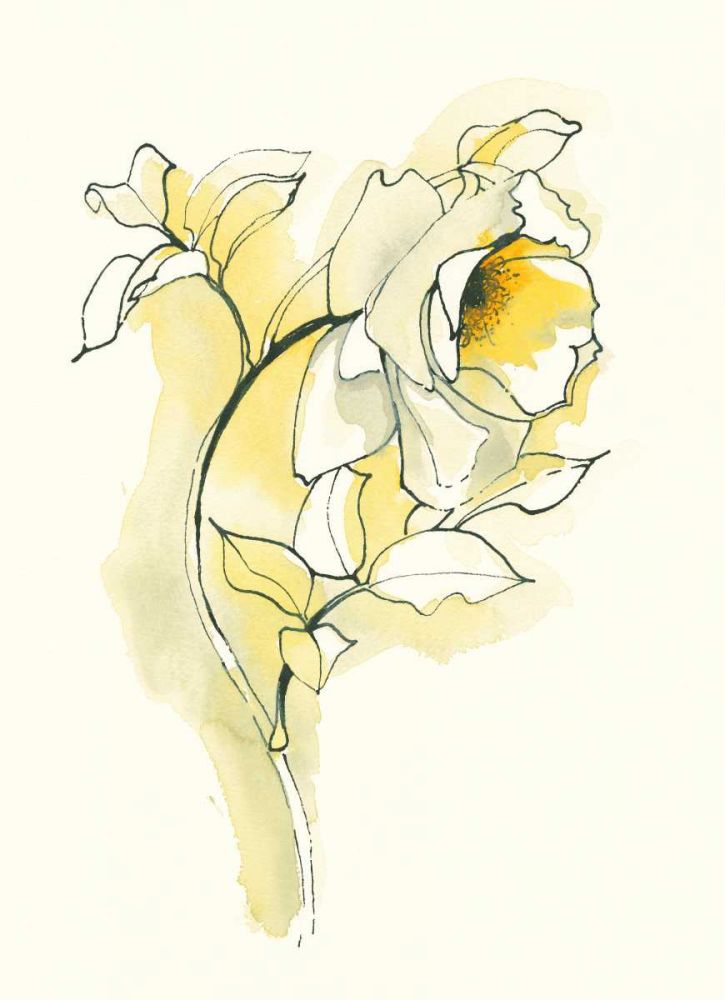 Carols Roses III art print by Shirley Novak for $57.95 CAD