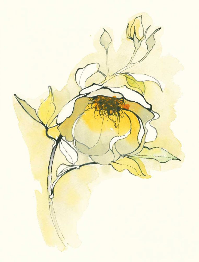 Carols Roses V art print by Shirley Novak for $57.95 CAD